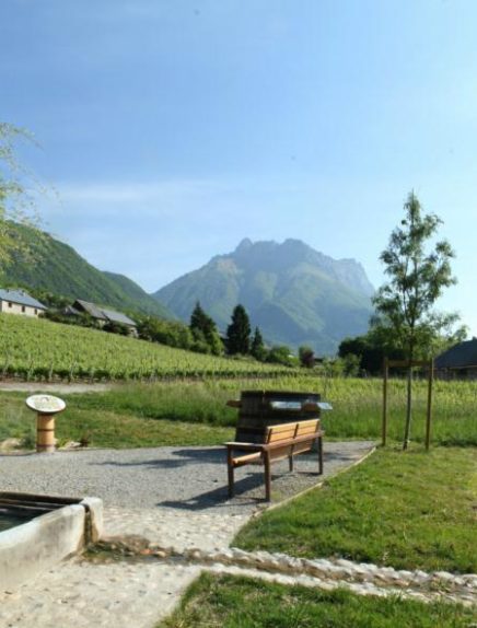 The Wine-Producing Slopes of St-Jean-de-la-Porte