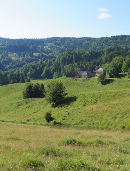 COMPLET Rencontre à l'alpage de la Cluse : visite guidée COMPLET