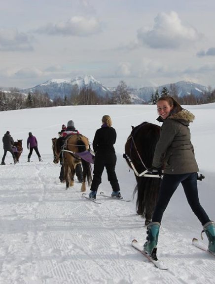 Séance de ski-Joëring