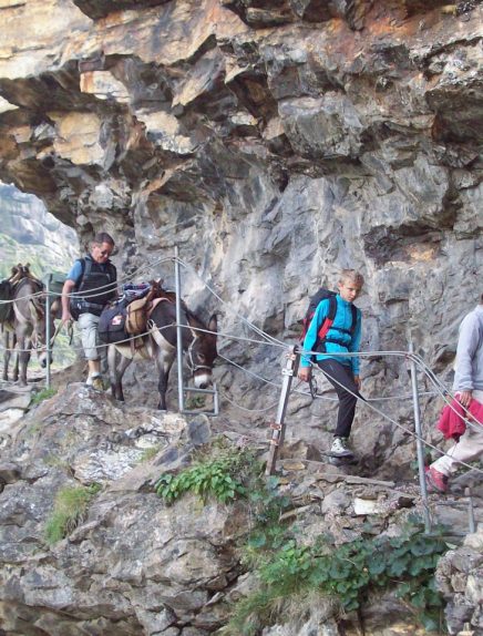 Ânes et Compagnie : randonnée avec des ânes