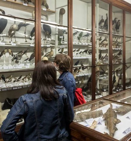 Exposition du Museum d&rsquo;Histoire Naturelle &#8211;  Journées Européennes du Patrimoine 2024