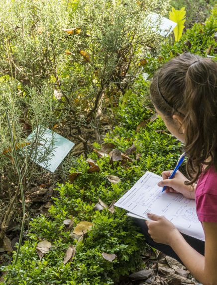 Atelier libre 6-12 ans : Carnets de rêveries &#8211; Journées européennes du patrimoine 2024