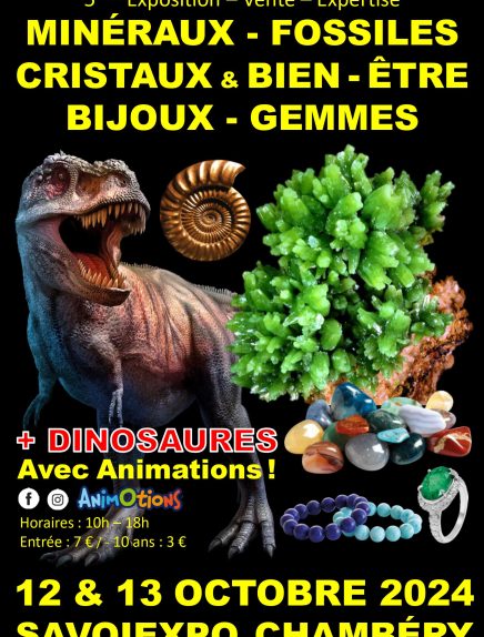 5ème Salon Minéraux Fossiles Cristaux & Bien-Être... Du 1 au 13 oct 2024