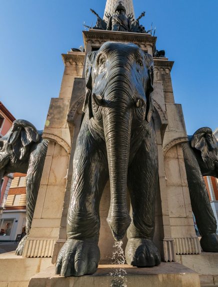 Festival Jeune public : Le 5ème éléphant