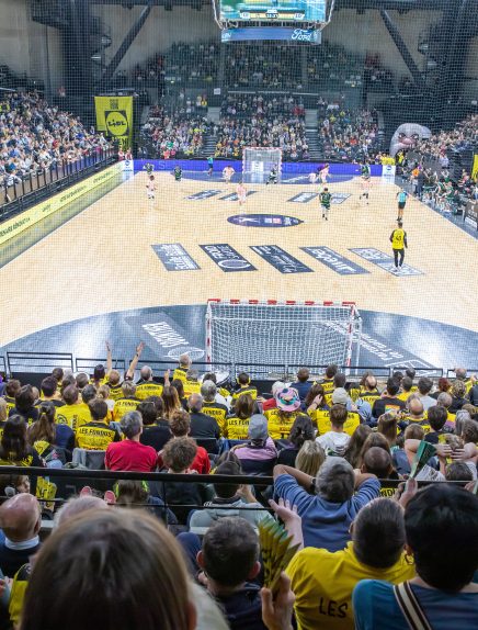 Chambéry Savoie Mont Blanc Handball vs Paris Saint-Germain... Le 24 nov 2024