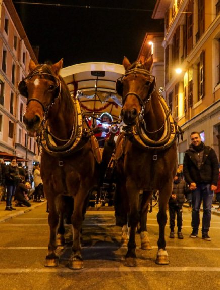 Balades en calèche Du 30 nov au 28 déc 2024