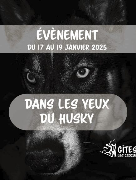 Dans les yeux du Husky