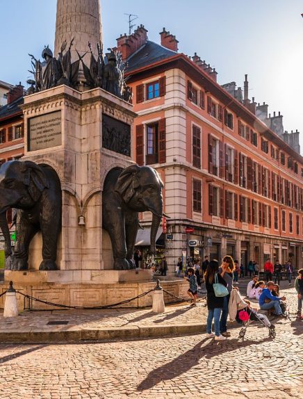 Promenade Confort : En suivant les éléphants