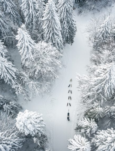 Destination 100 % nature, retrouvez-vous à Saint-François-de-Sales !