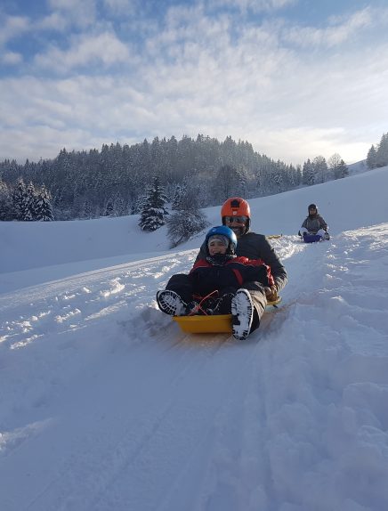 Descente luge