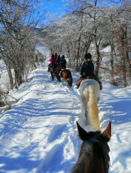 Balade neige avec le centre équestre des bauges