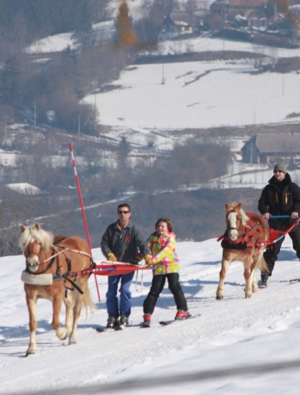 Baptême de ski-joëring