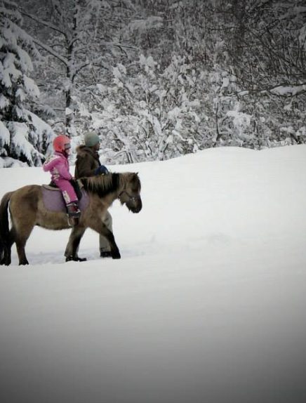 Promenade en main avec un poney