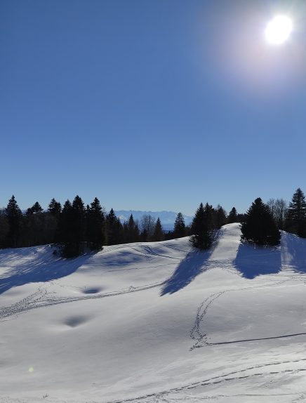 Randonnée raquettes : Les Balcons du Lac du Bourget