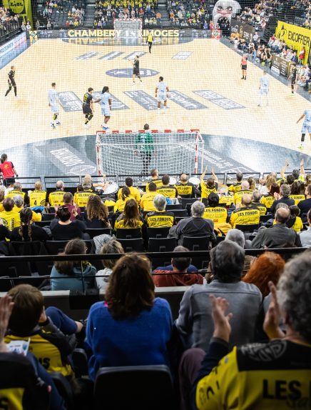 Chambéry Savoie Mont Blanc Handball vs Toulouse