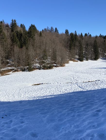 Randonnée raquettes : la petite traversée