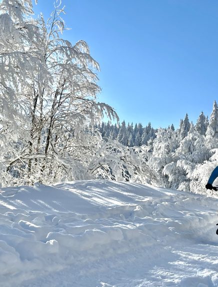 Balade découverte en Fatbike électrique à la Féclaz