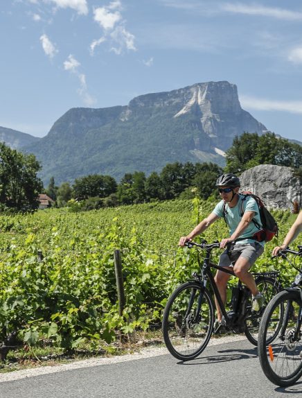 Cycling itinerary: Lake Saint-André loop