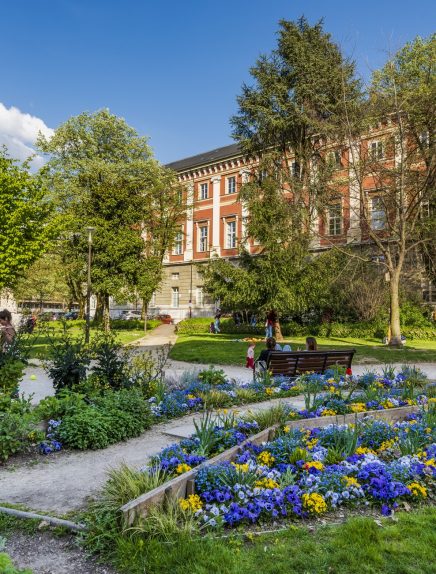 Visite fthématique - Regard sur le Jardin du Verney